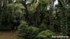 29 Thompsons Road, Broughton Village, NSW 2534-Image