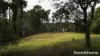 29 Thompsons Road, Broughton Village, NSW 2534-Image
