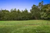 29 Thomson Lane, Kinglake, Vic 3763-Image