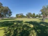29 Thornlie Avenue, Thornlie, WA 6108-Image