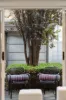 29 Tiara Street, Lightsview, SA 5085-Image