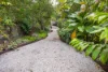 29 Tuckeroo Avenue, Mullumbimby, NSW 2482-Image