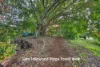 29 Tuckeroo Avenue, Mullumbimby, NSW 2482-Image
