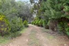 29 Wallangarra Drive North, Bedfordale, WA 6112-Image