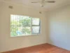29 Wearne Street, Canterbury, NSW 2193-Image
