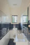 29 Wearne Street, Canterbury, NSW 2193-Image