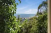 29 Wilhelmina Avenue, West Launceston, Tas 7250-Image