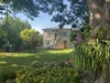 29 Yuulong Road, Tamborine Mountain, Qld 4272