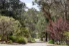 290 Smiths Gully Road, Smiths Gully, Vic 3760-Image