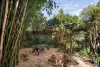290 Tarragindi Road, Moorooka, Qld 4105-Image