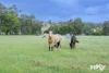 291 Morley Road, Lower Chittering, WA 6084-Image