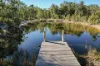 292 Baldaw Road, Captain Creek, Qld 4677-Image