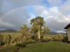 292 Baldaw Road, Captain Creek, Qld 4677-Image