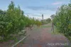 292 Boomerang Avenue, Cardross, Vic 3496-Image