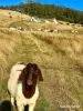 292 Fire Tower Road, Koonya, Tas 7187-Image