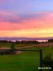 292 Fire Tower Road, Koonya, Tas 7187-Image