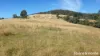 292 Fire Tower Road, Koonya, Tas 7187-Image
