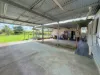 292 Silkwood Japoon Road, Silkwood, Qld 4856-Image