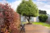 293 Barker Street, Castlemaine, Vic 3450-Image