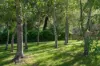 294 Golden Valley Road, Cygnet, Tas 7112-Image
