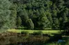 294 Golden Valley Road, Cygnet, Tas 7112-Image