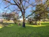 294 Manilla Street, Manilla, NSW 2346-Image