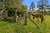 294 Nowendoc Road, Killawarra, NSW 2429-Image