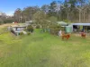 294 Nowendoc Road, Killawarra, NSW 2429-Image