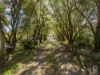295 Bruce Crescent, Wallarah, NSW 2259-Image