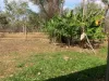 295 Colton Rd, Acacia Hills, NT 0822-Image