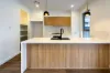 295 Driftway Drive, Pemulwuy, NSW 2145-Image