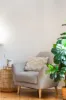 295 Oaklands Road, Marion SA 5043-Image