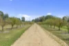 2957 Goulburn Valley Highway, Numurkah, Vic 3636-Image