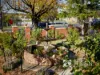 296 MacKenzie Street, Golden Square, Vic 3555-Image
