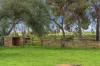 296 Pratt Road, Korunye, SA 5502-Image