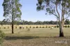 297 Potts Road, Elphinstone, Vic 3448-Image