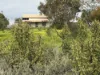 298 Railway Terrace, Coonamia, SA 5540-Image