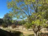 299 Bodeguero Way, Wundowie, WA 6560-Image