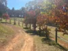 299 Bodeguero Way, Wundowie, WA 6560-Image