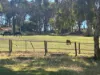 299 Bodeguero Way, Wundowie, WA 6560-Image