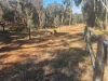 299 Bodeguero Way, Wundowie, WA 6560-Image