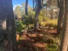 299 Bodeguero Way, Wundowie, WA 6560-Image