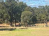 299 Bodeguero Way, Wundowie, WA 6560-Image