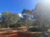 299 Bodeguero Way, Wundowie, WA 6560-Image