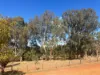 299 Bodeguero Way, Wundowie, WA 6560-Image