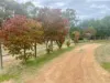 299 Bodeguero Way, Wundowie, WA 6560-Image