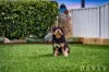299 Camberwarra Drive, Craigie, WA 6025-Image