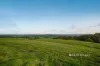 299 Coupe Road, Vesper, Vic 3833-Image