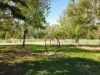 299 River Road, Nyah, Vic 3594-Image