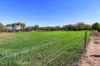 299 River Road, Nyah, Vic 3594-Image